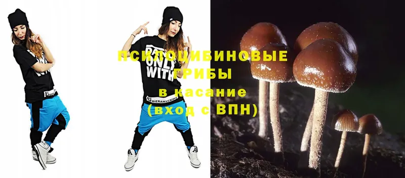 Псилоцибиновые грибы Magic Shrooms  Ишимбай 